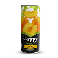 Capyy Kayısı